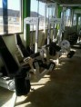 /album/fotogaleria-neugym/a395377-2715043189955-850463202-n-jpg/